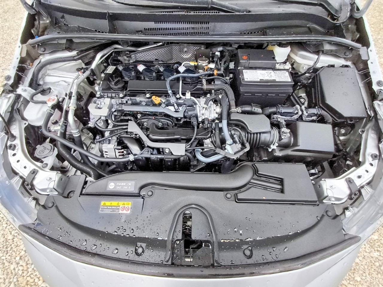 2025 TOYOTA COROLLA