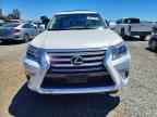 2019 LEXUS GX 460