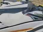 2019 Yam Vx