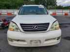 2006 LEXUS Gx 470