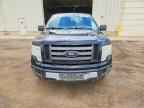 2009 FORD F-150 Lightning