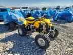 2008 CAN-AM Ds