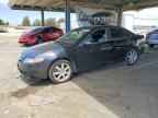 2005 ACURA TSX