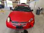 2005 DODGE Neon