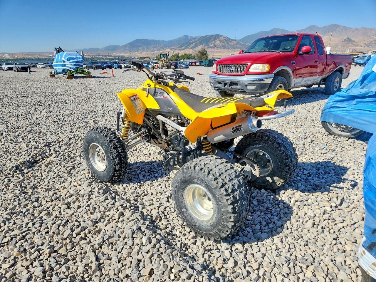 2008 CAN-AM Ds