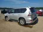 2017 LEXUS GX 460