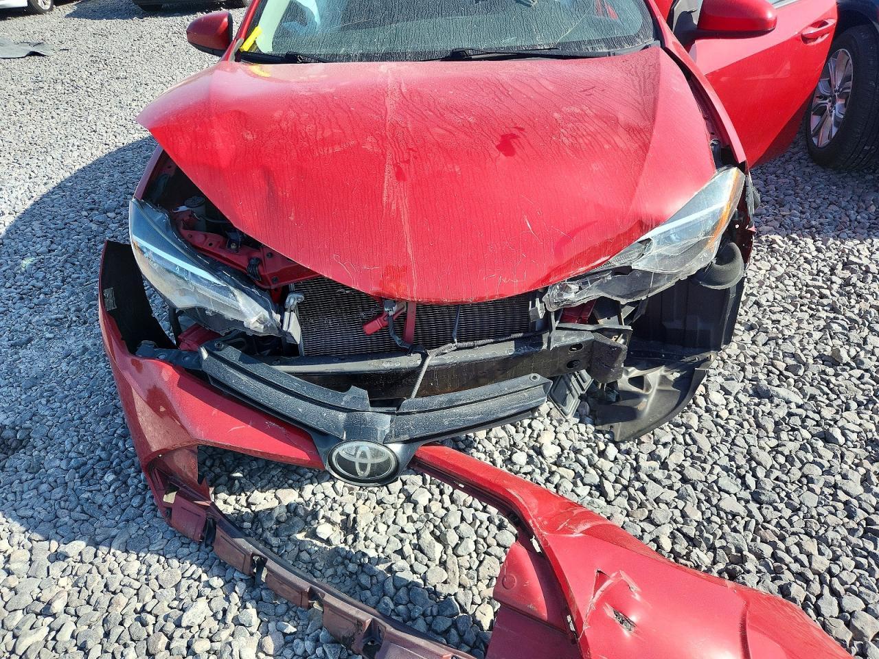 2019 TOYOTA COROLLA