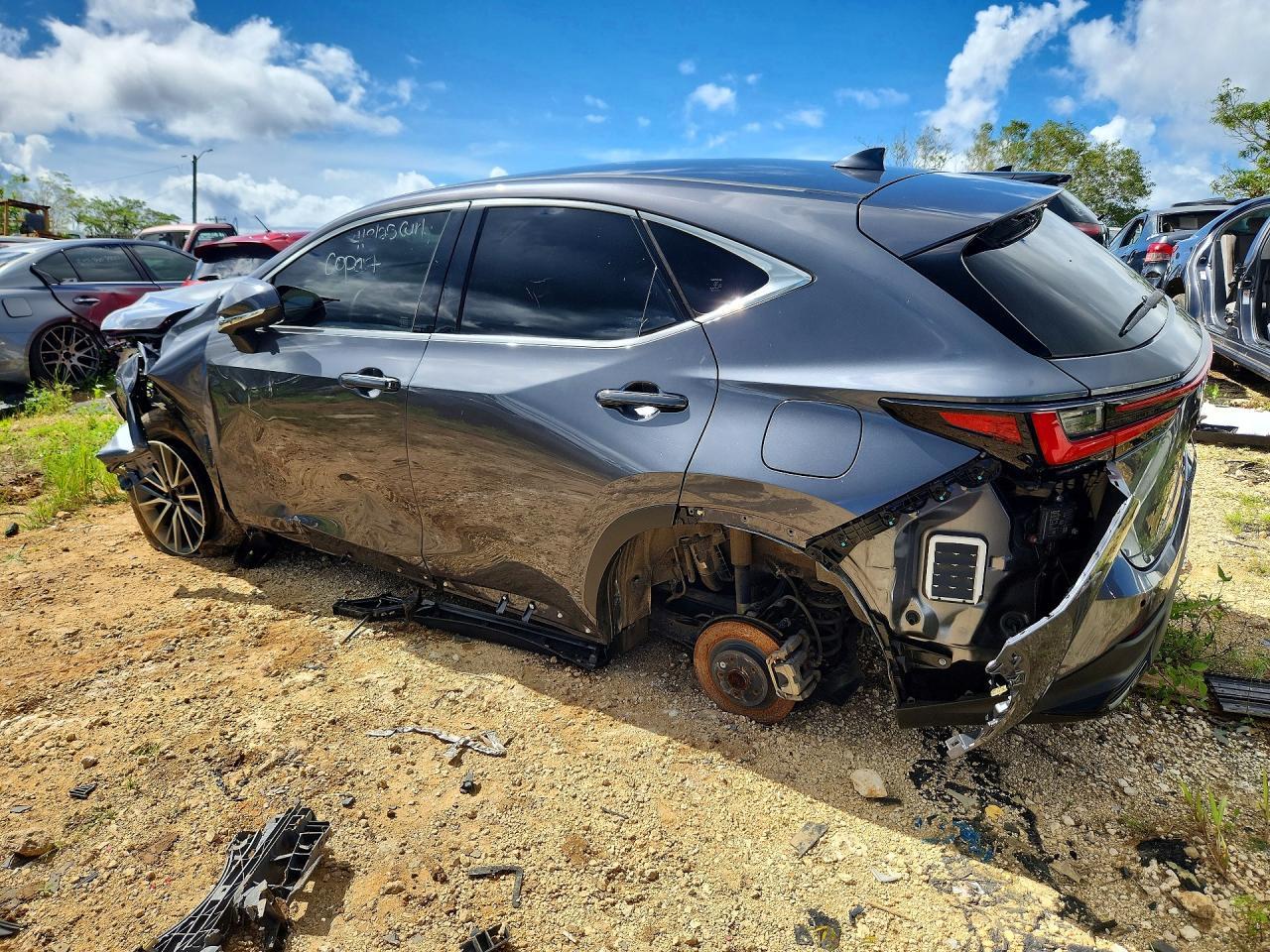 2024 LEXUS NX 250