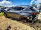 2024 LEXUS NX 250
