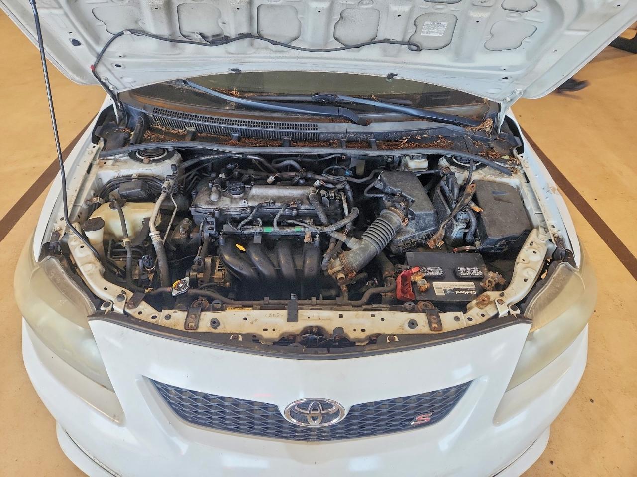 2010 TOYOTA COROLLA