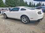 2010 FORD MUSTANG
