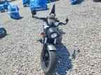 2022 INDIAN MOTORCYCLE CO. SCOUT