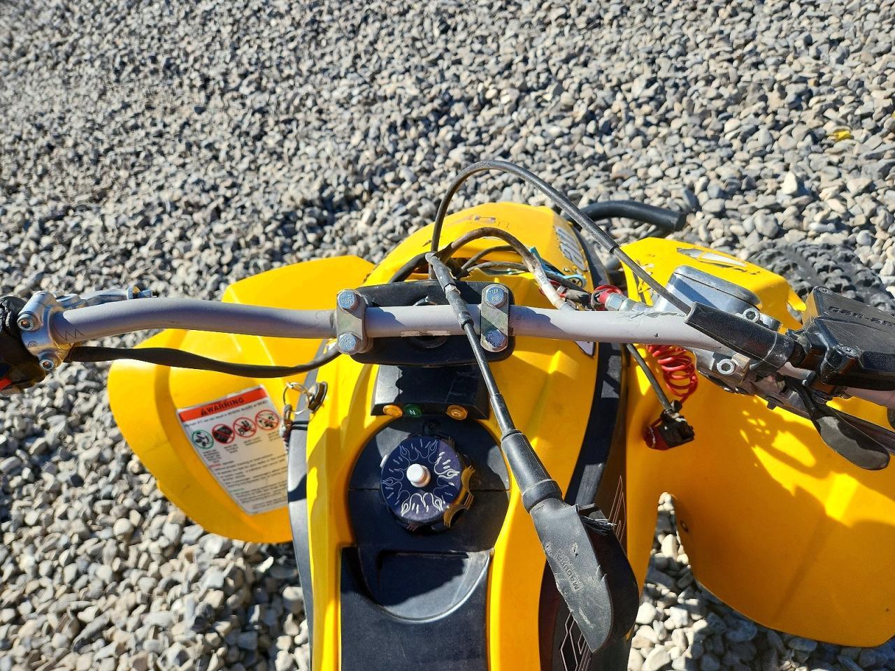 2008 CAN-AM Ds