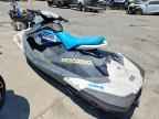 2019 Sea Doo Spark