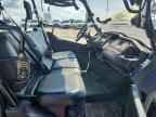 2023 HONDA Pioneer