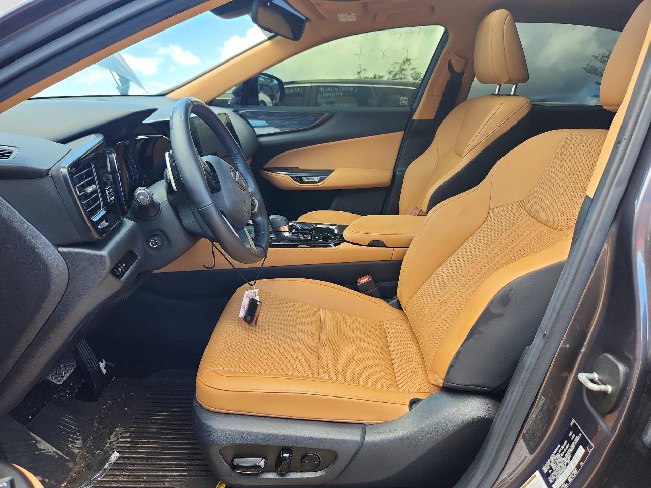 2024 LEXUS NX 250