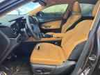 2024 LEXUS NX 250