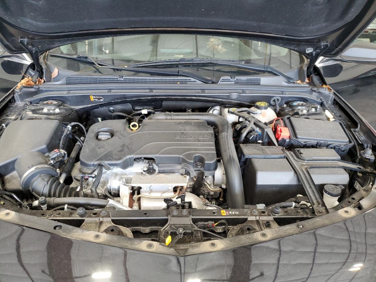 2019 CHEVROLET MALIBU
