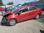 2013 KIA RIO