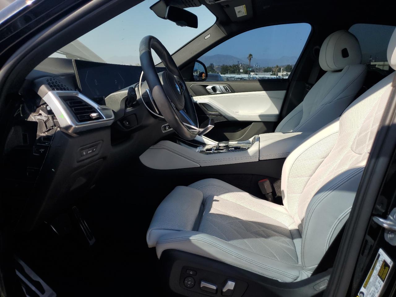 2024 BMW X6