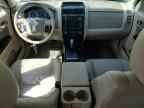 2010 FORD ESCAPE