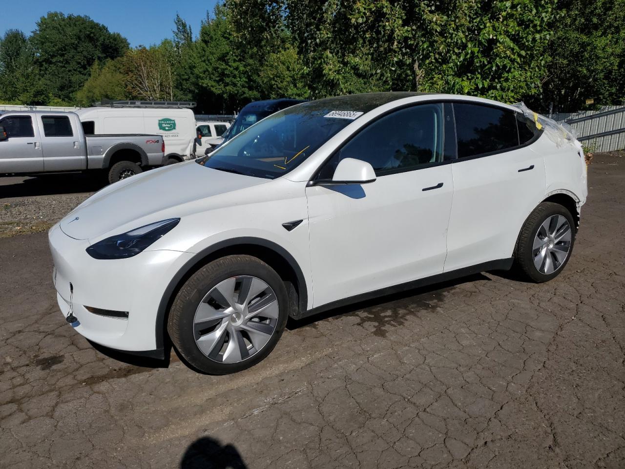 2024 TESLA MODEL Y