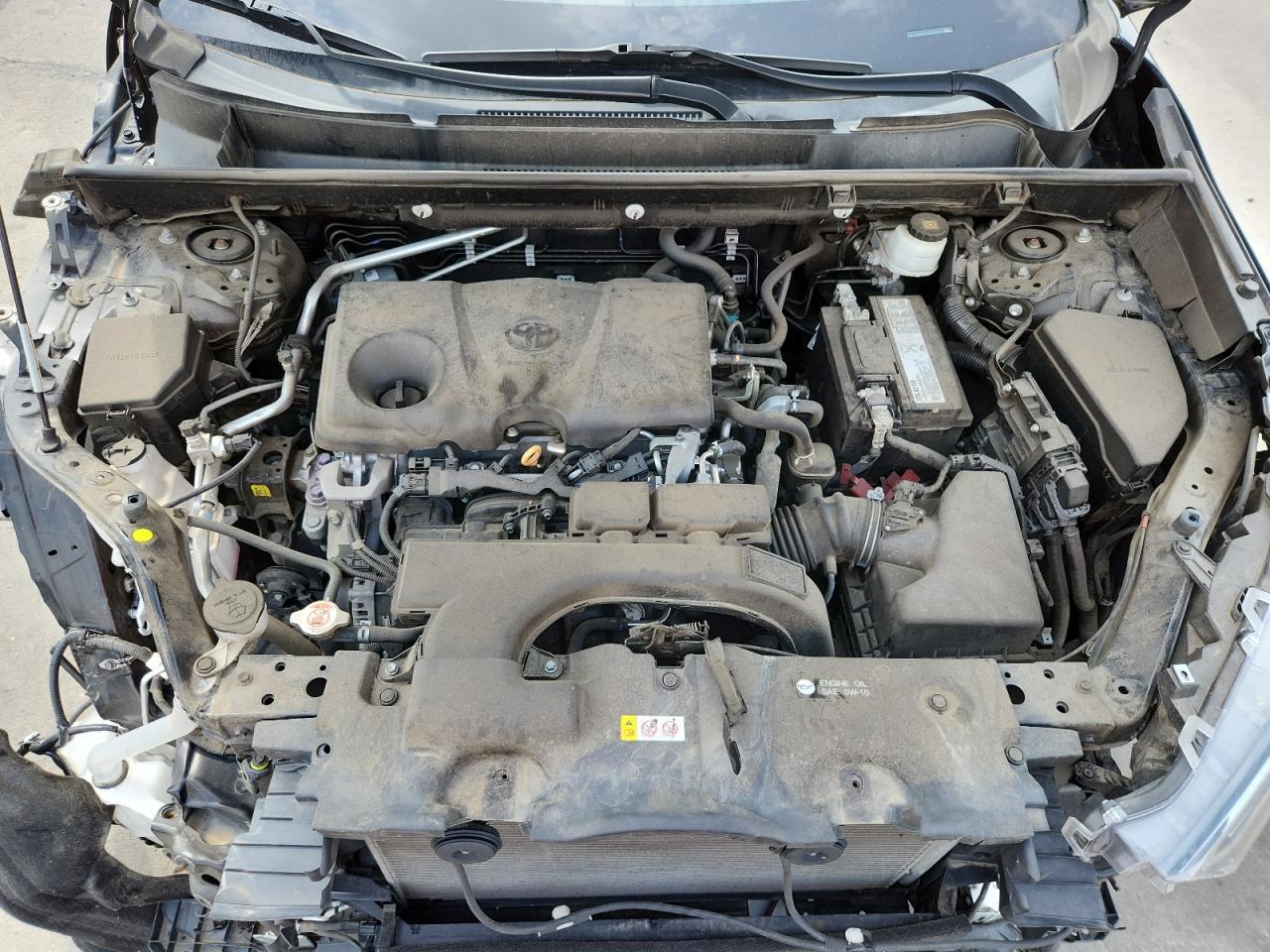 2019 TOYOTA RAV4