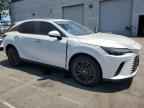 2025 LEXUS Rx