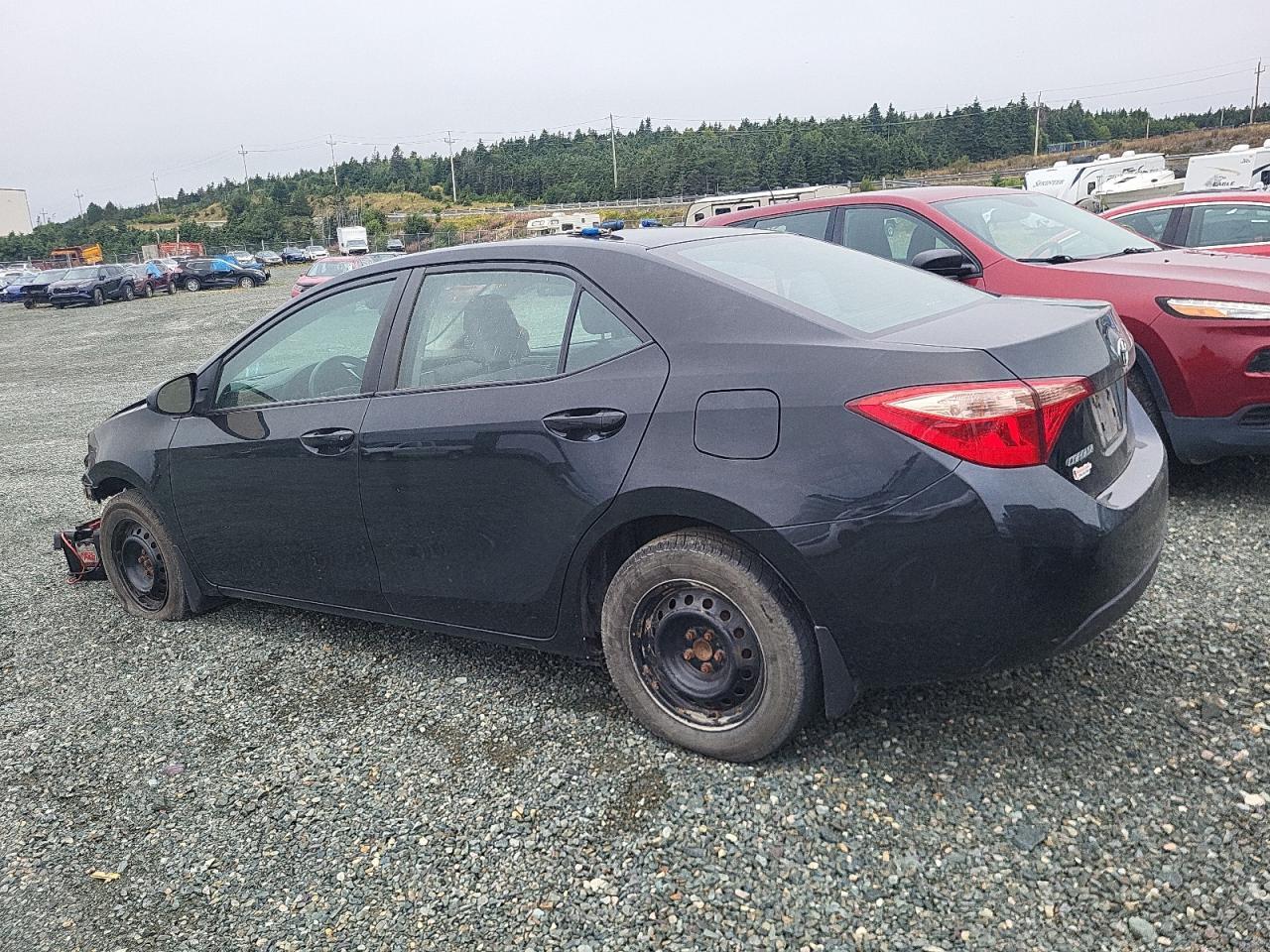 2019 TOYOTA COROLLA