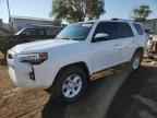 2024 TOYOTA 4Runner