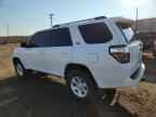 2024 TOYOTA 4Runner