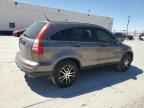 2010 HONDA CR-V