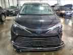 2023 TOYOTA SIENNA