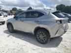 2023 LEXUS NX 350