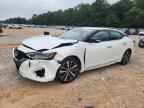 2023 NISSAN Maxima