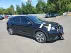 2019 KIA Niro