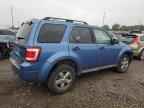 2009 FORD ESCAPE