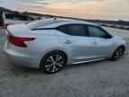 2017 NISSAN Maxima