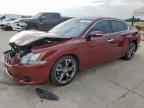 2013 NISSAN Maxima