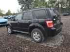 2010 FORD ESCAPE