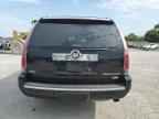 2010 CADILLAC ESCALADE