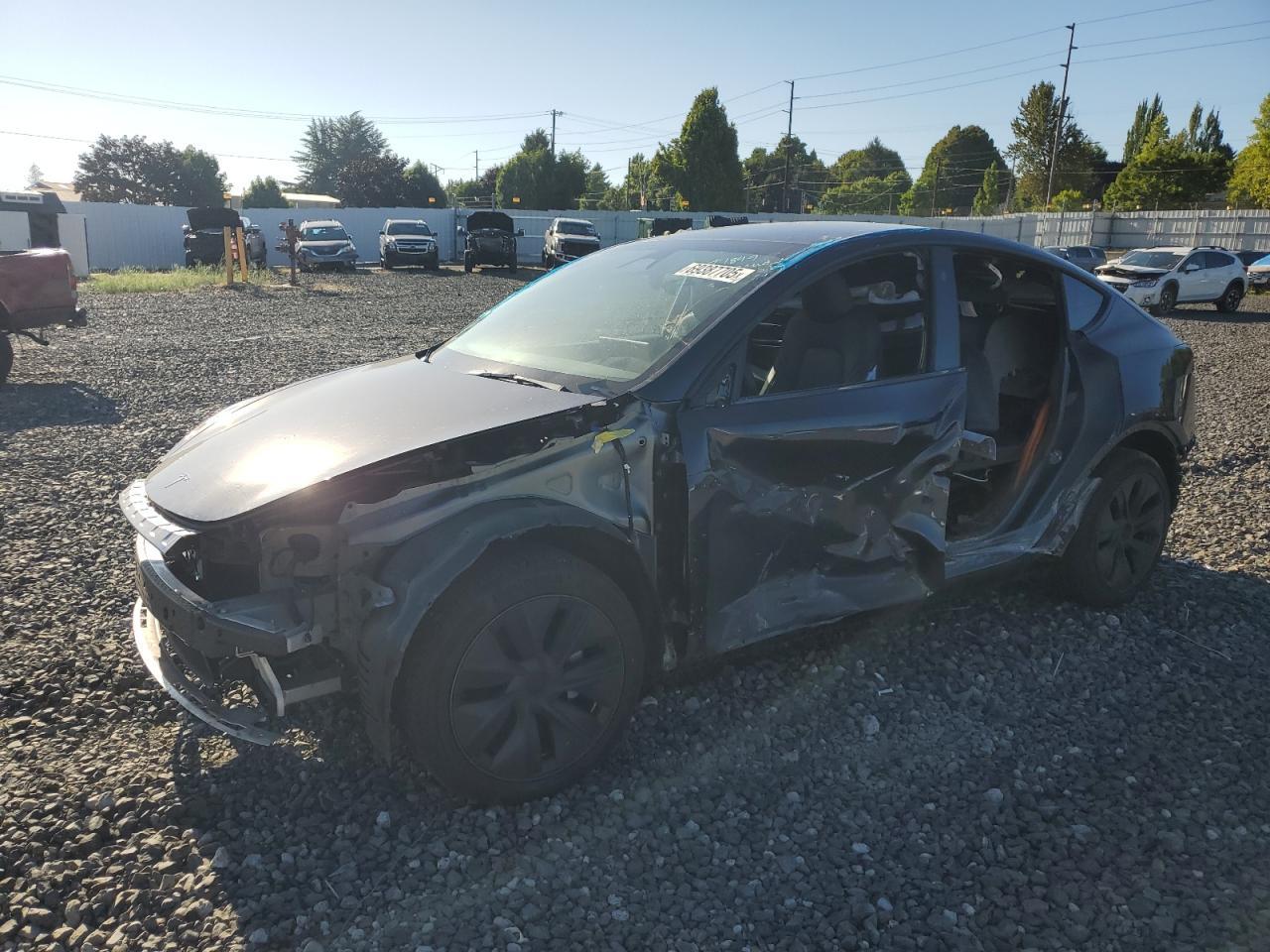 2025 TESLA MODEL Y