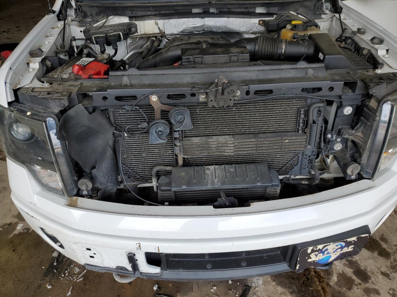 2014 FORD F-150