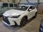 2025 LEXUS Nx