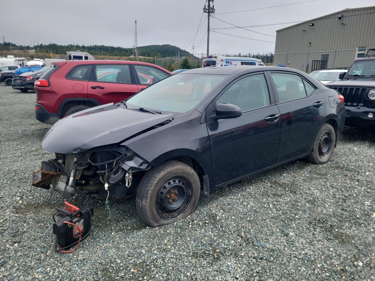 2019 TOYOTA COROLLA