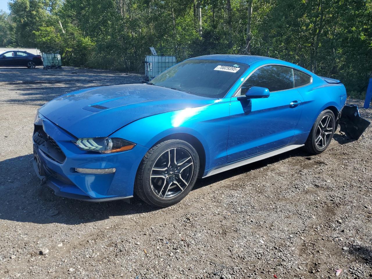 2019 FORD MUSTANG
