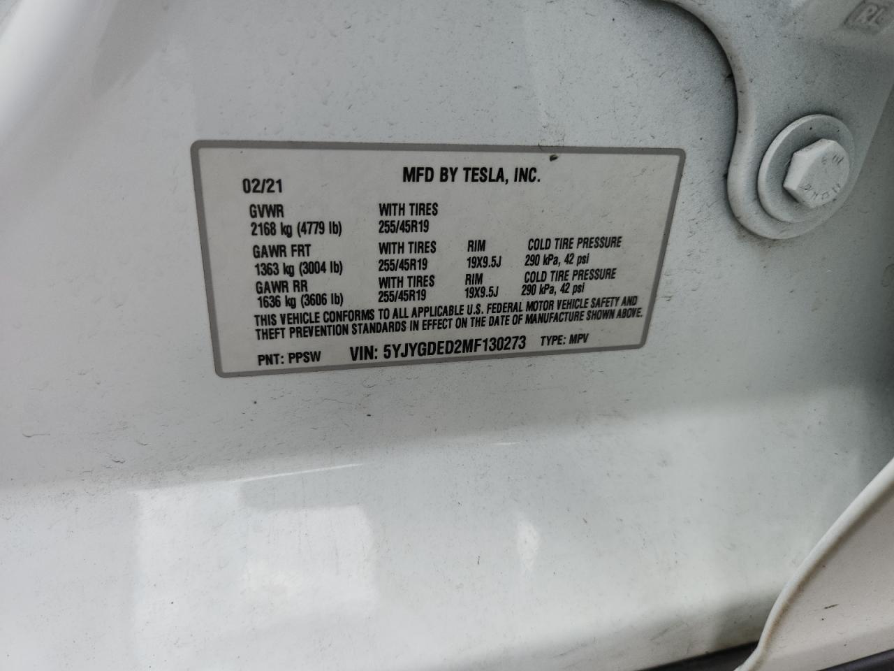 2021 TESLA MODEL Y