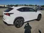 2019 LEXUS Nx