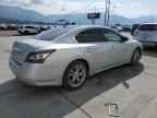 2013 NISSAN Maxima
