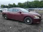 2010 NISSAN Maxima